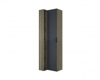 Шкаф угловой торцевой Борнео ШК-174 в Игарке - mebel154.com